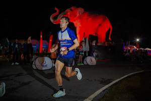 BIB: 
                            <button type="button" onclick="openModal(26551913)" class="btn btn-primary btn-sm float-right btn-popup" data-toggle="modal" data-target=".modal-high-quality">
                        <i class="fas fa-shopping-cart"></i> Add to Cart
                    </button>
                                            <button type="button" onclick="isThisMe(26551913, true)" class="btn btn-success btn-sm float-right btn-popup btn-isme hidden" data-toggle="tooltip" data-placement="bottom" title="นี่คือรูปของคุณใช่ไหม คลิกที่นี่เพื่อเอาเข้าอัลบั้ม">
                        <i class="fas fa-plus"></i> Add to album
                    </button>
                    <button type="button" onclick="isThisMe(26551913, false)" class="btn btn-warning btn-sm float-right btn-popup btn-isnotme hidden">
                        <i class="fas fa-ban"></i> Remove from album
                    </button>